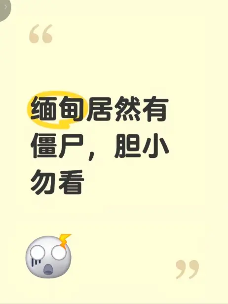 《缅甸僵尸出土事件》高清完整版视频在线播放-揭秘缅北神秘事件真相-全程录像无删减免费看