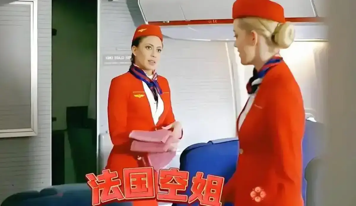 法国空乘4法版高清无删减完整版在线观看免费_欧美电影满天星电影4K完整版在线播放