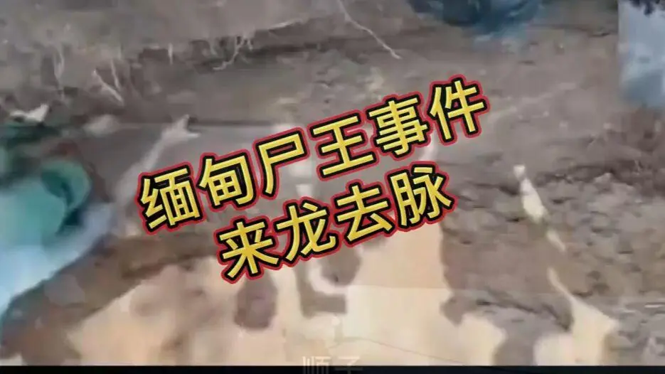 《缅甸僵尸出土事件视频》在线观看免费播放完整版资源下载 - 缅北僵尸出土事件始末原视频高清下载超清未删减全程录像